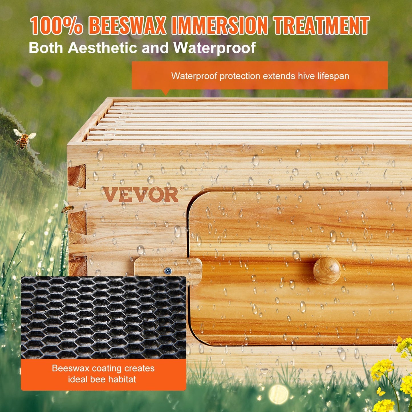 Bee Hive Deep Box Starter Kit, 100% Beeswax Coated Natural Cedar Wood, Langstroth Beehive Kit with 10 Frames and Foundations, Transparent Acrylic Bee Windows for Beginners and Pro Beekeepers