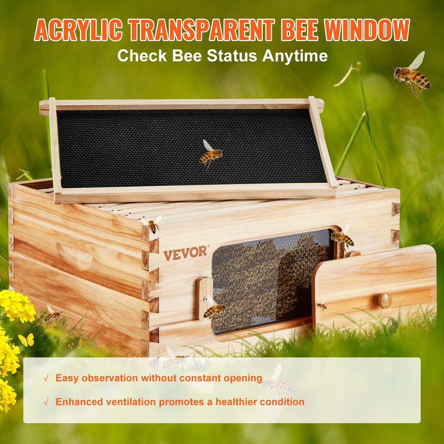 Bee Hive Deep Box Starter Kit, 100% Beeswax Coated Natural Cedar Wood, Langstroth Beehive Kit with 10 Frames and Foundations, Transparent Acrylic Bee Windows for Beginners and Pro Beekeepers